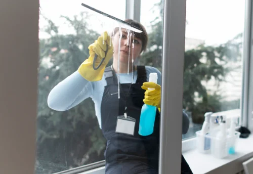 Nettoyage de vitres intérieures et extérieures à Thèreval